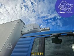 MAN TGX 26.440