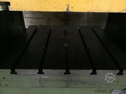 Oevermann DP-100