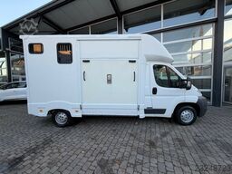 Peugeot Boxer 1-2 Pferde