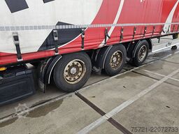 FLIEGL SDS 390