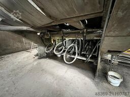 BMH TYRANNOSAURUS 9904