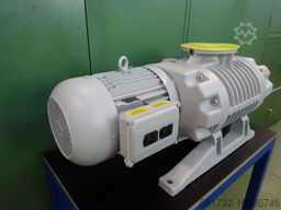 Leybold RUVAC WS1001