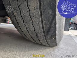 Scania P 450