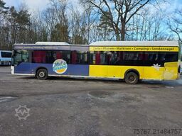 MERCEDES-BENZ Citaro O530 LE, Gurten,  Armlehnen, Gardinen