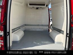 MERCEDES-BENZ Sprinter 316 CDi Kühlkasten Zanotti Tiefkühlung