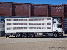 Scania P400 8x4*4 - 2/3 deck livestock Guiton 29.78M2 ...