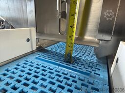 Conveyor with Overhead Hopper Feeder 