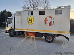 IVECO EUROCARGO 120EL 18 TRASPORTO CAVALLI