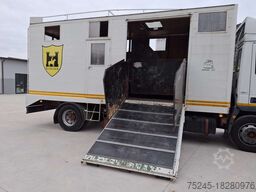 IVECO EUROCARGO 120EL 18 TRASPORTO CAVALLI