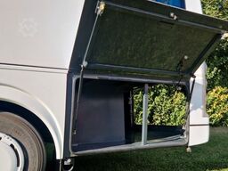 TEMSA Prestij SX Novo Lux Daily Lagerfahrzeug