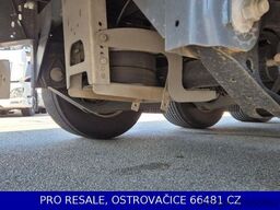 WIELTON NS3K MEGA + LIFTACHSE