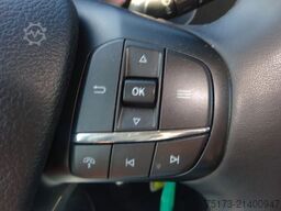 FORD Transit Kasten 350 L3H3 Trend 130PS HA Express