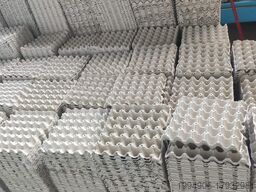 BESTON GROUP BTF5-8 EGG TRAY