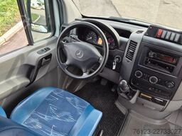MERCEDES-BENZ Sprinter 516, Daily, Crafter