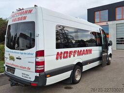 MERCEDES-BENZ Sprinter 516, Daily, Crafter