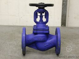 unbekannt DN50 PN16