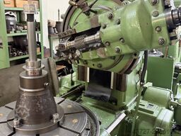 CECCHINI M.L.L. srl CECCHINI M.L.L. srl CECCHINI M.L.L. srl