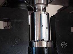 CoastOne Bull12