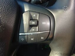 FORD Transit Kasten 350 L3H3 Trend 130PS HA Express