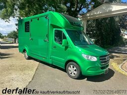 Mercedes-Benz Sprinter 319 STX 1-2 Pferde Hengsttrennung