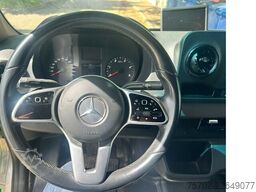 Mercedes-Benz Sprinter 319 STX 1-2 Pferde Hengsttrennung