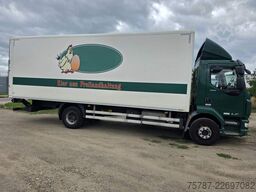 DAF LF 260 Koffer 14 Tonner, LK,BW, Rückfahrkamera