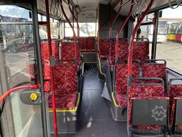 Solaris Urbino