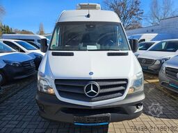 MERCEDES-BENZ Sprinter 316 CDI THERMO KING V300 0°FRISCHDIENST