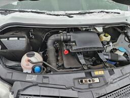 MERCEDES-BENZ Sprinter 316 CDI THERMO KING V300 0°FRISCHDIENST