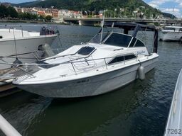 SEA RAY 245DA HRIZON DREAM INKL. ANHÄNGER PILOB
