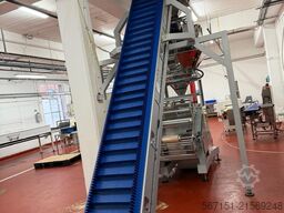 Ilapak Vegatronic 500 with 10 head weigher