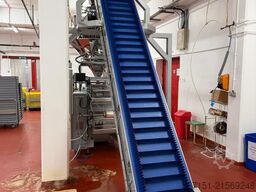 Ilapak Vegatronic 500 with 10 head weigher