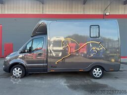 MERCEDES-BENZ SODIAK HORSE 2 Pferde Luxus Sprinter
