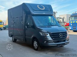 MERCEDES-BENZ SODIAK HORSE 2 Pferde Luxus Sprinter