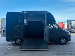 MERCEDES-BENZ SODIAK HORSE 2 Pferde Luxus Sprinter