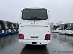 MAN R 09 Lion´s Coach