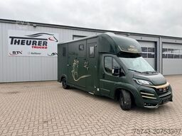 FIAT Ducato  EXKLUSIVE Hengstmodel