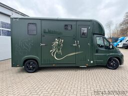 FIAT Ducato  EXKLUSIVE Hengstmodel