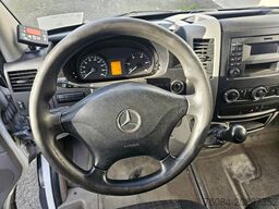 Mercedes-Benz Sprinter 313