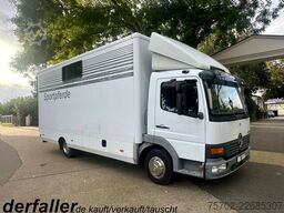 Mercedes-Benz 817 2-4 Pferde