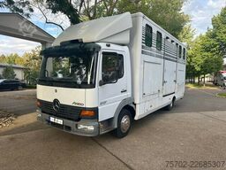 Mercedes-Benz 817 2-4 Pferde