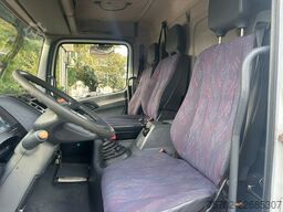 Mercedes-Benz 817 2-4 Pferde