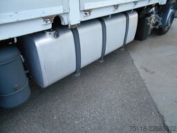 DAF XF 105.460 FAN 6x2 CENTINATO