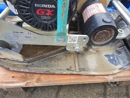 Package 2x Ammann APF 1240 (2020, 2020); 1x Steinweg Boy Standard (2017)