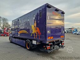 MAN TGA 18.360 4x2 - Horse truck +  full camper - 4...