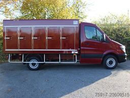 MERCEDES-BENZ Sprinter 310 Cold Car -33°C ATP 05/29 Euro 6