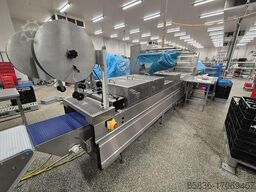 Multivac R270CD with skin and MAP