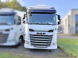 DAF XG 480 FT 4×2 - OCC395 – TraXon – MX Engine brake