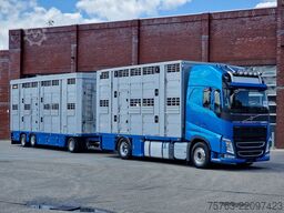 Volvo FH 13.460 - Menke Livestock + trailer - 3 stock...