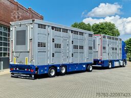 Volvo FH 13.460 - Menke Livestock + trailer - 3 stock...